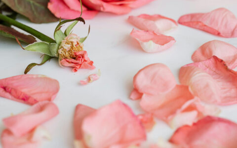 饿了么，“消失”在17岁