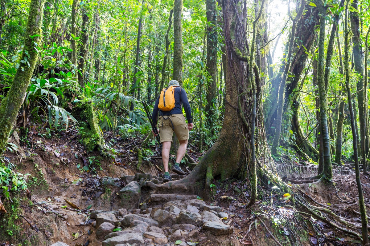 荒野求生变追剧，七星山想不火都难