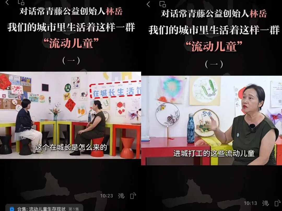 公益丨常青藤13年，艰难中前行