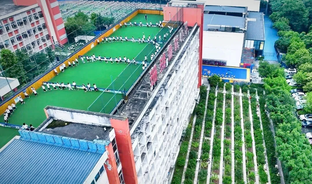 “19号”蔡崇信：野蛮其体魄