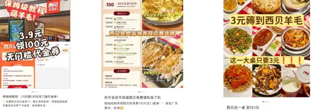 降价、涨薪、现制菜：西贝“回血”90天，能跑赢信任消耗赛吗