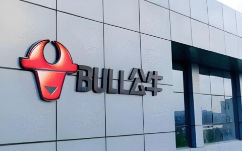 智能家居与充电桩，难救“困在插座里”的公牛