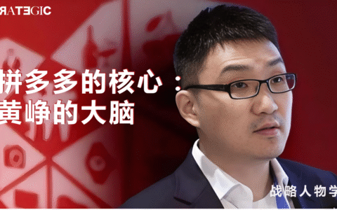 所有人都在分析拼多多商业模式，但真正的秘密藏在黄峥的大脑里