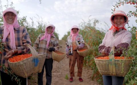 容声冰箱“寻鲜之旅”助农活动入选社会责任实践成果