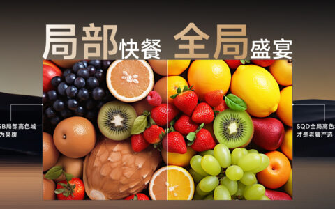 TCL X11L SQD-Mini LED电视问鼎WISE 2025年度焦点产品