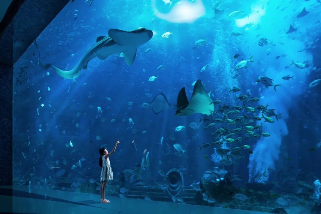 复星旅文的三张度假牌，藏着什么破局门道？