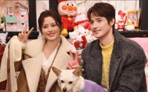 恋综2025：观众怎么嗑不动了？