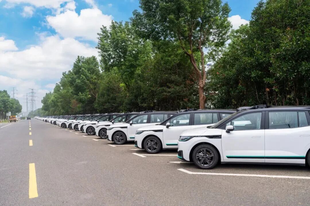 一场事故，让哈啰Robotaxi按下暂停键