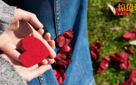 2026：爱，老己和不等待