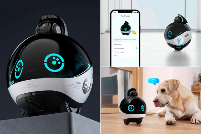 CES观察|AI硬件迎来黄金时代,中国机器人“进场打工”