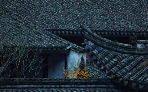 GEO不能瞎做：几个关键的GEO优化的基本功