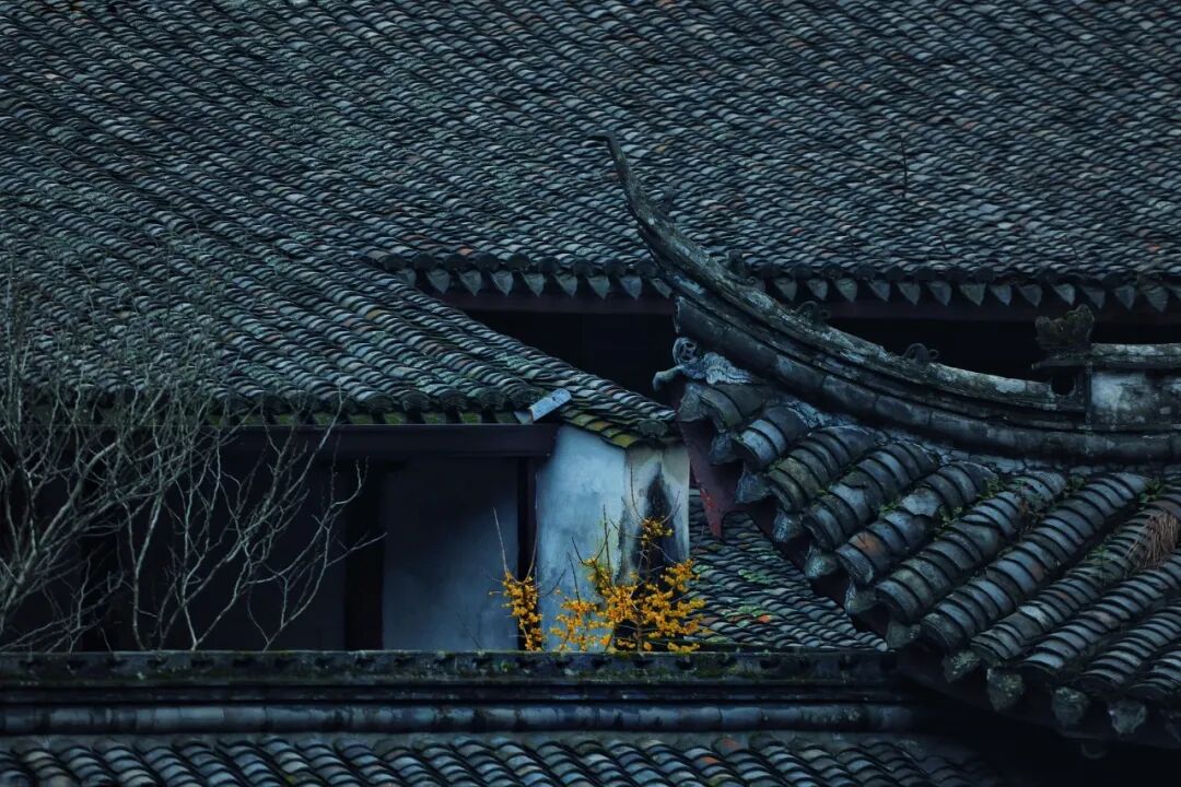 商业泛滥的古镇,该换种打法了