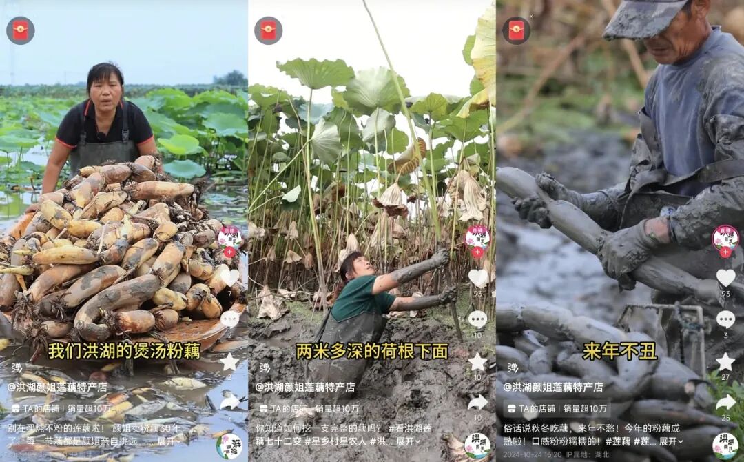 从“提效”到“稳进”：2026直播电商进入精耕细作时代