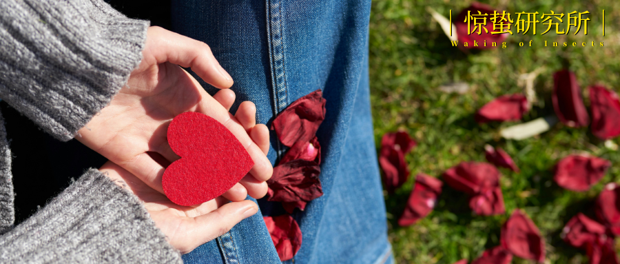 2026：爱，老己和不等待