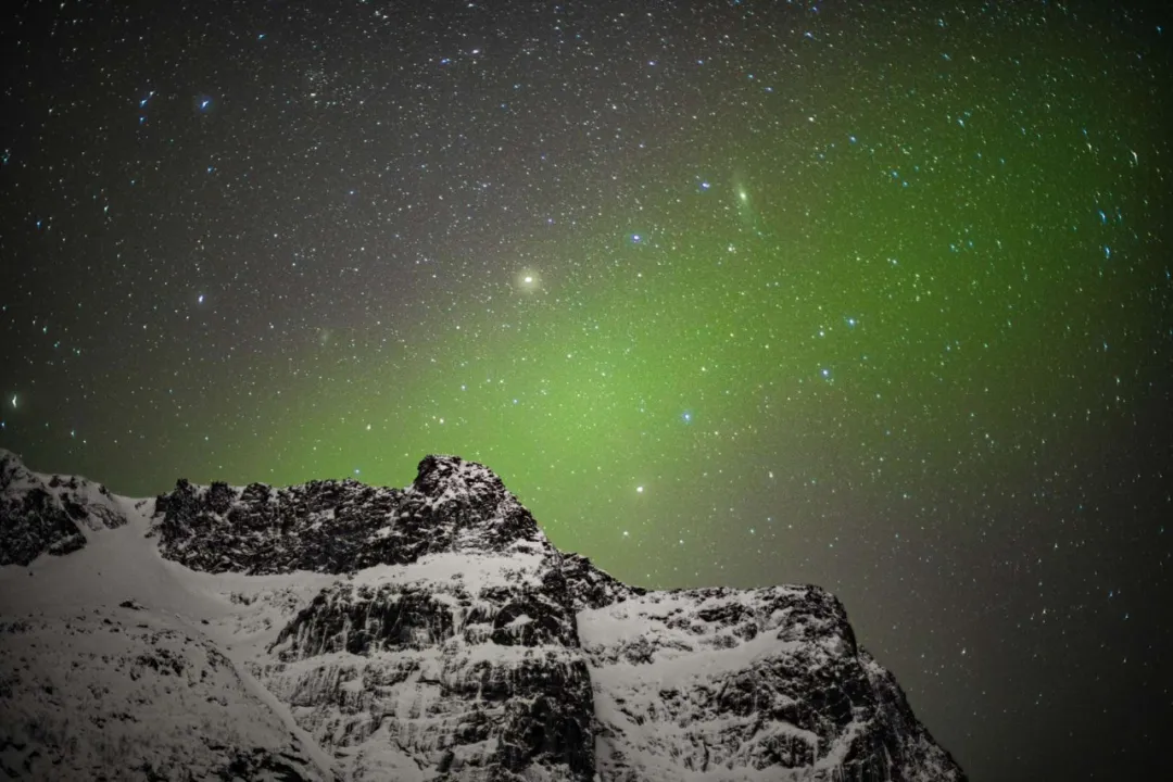 2026：爱，老己和不等待