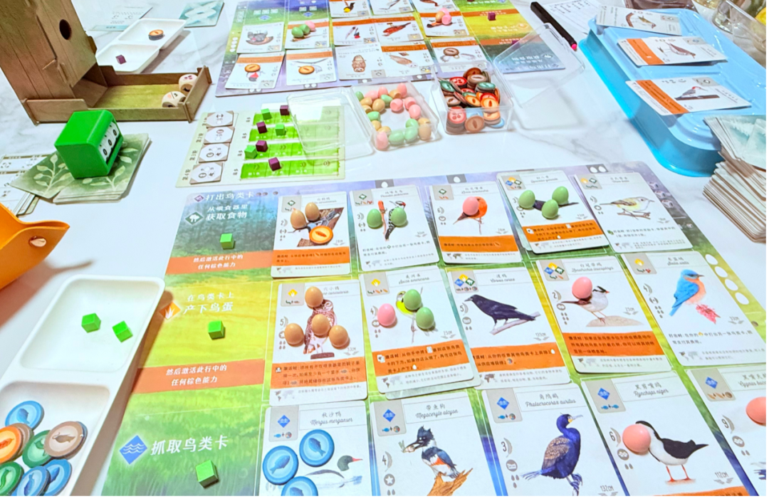 2026：爱，老己和不等待