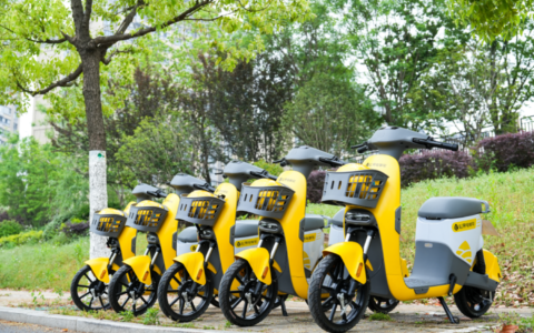 松果出行冲击IPO：共享电单车县域之王缺一个战略后手