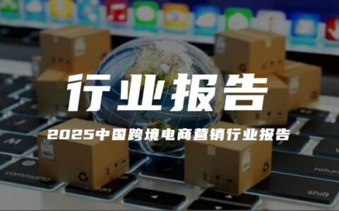 报告解读｜《2025中国跨境电商营销行业报告》（附下载）