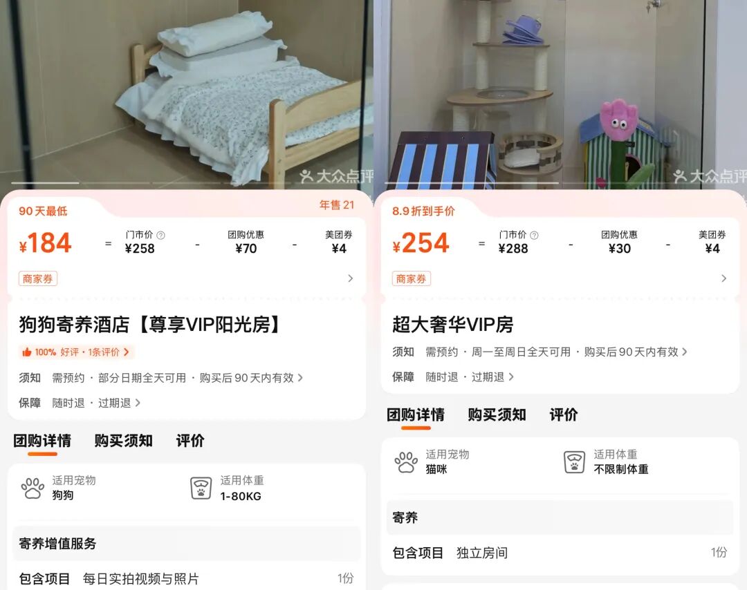 年轻人当上“年货主理人”，这七种春节消费走向顶流