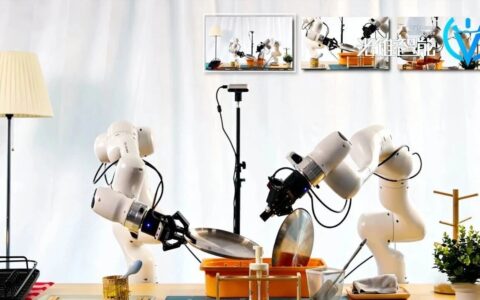 具身智能的战国时代，蚂蚁怎么破局？