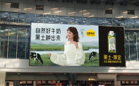 认养一头牛官宣演员赵丽颖成为品牌代言人