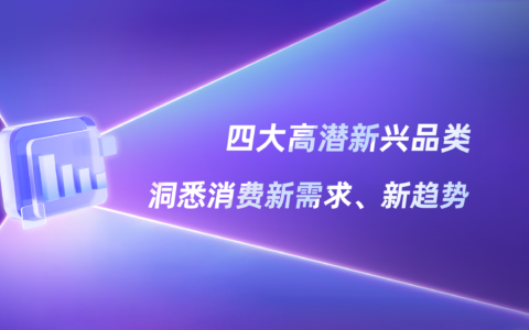2025第四季度新兴品类报告，揭秘赛道新玩法