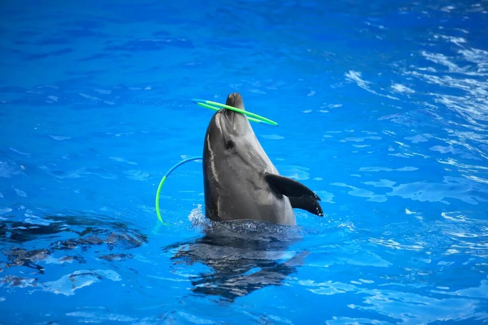 短期“账本”，能算明白主题公园的盈亏账吗？