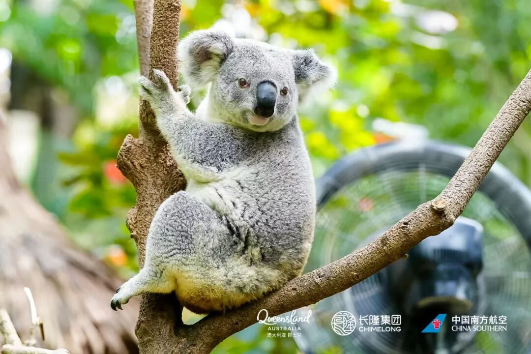 山海依旧，澳大利亚昆士兰凭什么让你再去一次？