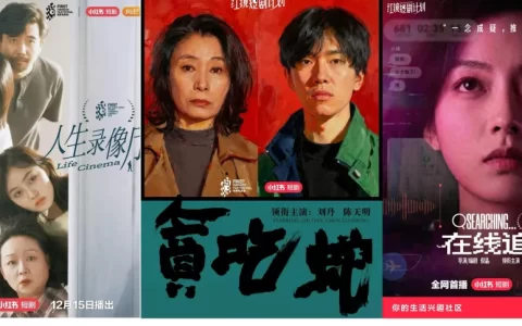 短剧频道上线一年后，小红书成功“上桌”了吗？