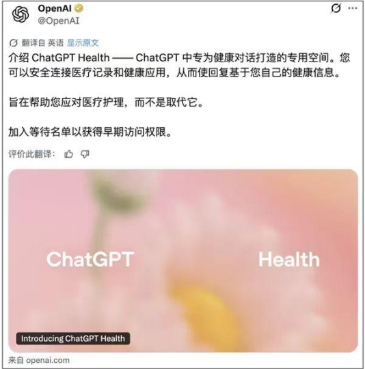 ChatGPT，要摸着“蚂蚁阿福”过河？