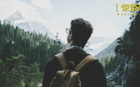 放弃躺赚后，景区赢麻了