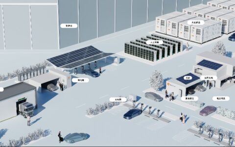 上市前被剥离，星星充电为何成不了万帮数字的“门面”？