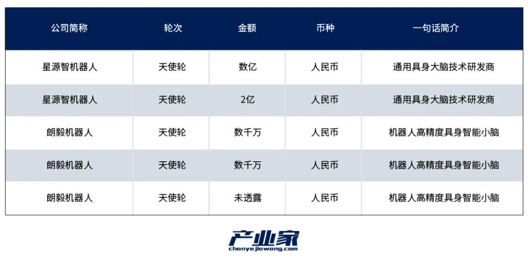 具身智能2026前瞻：在资本热浪中上岸“价值闭环”