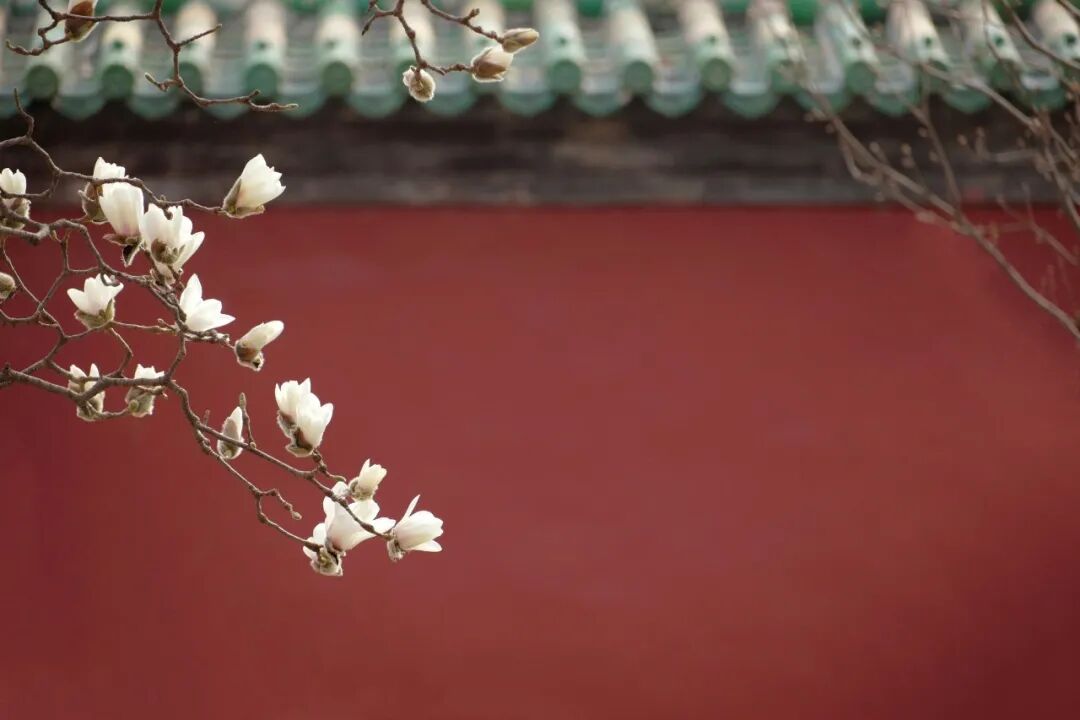 国潮的终点，是标签的消失？