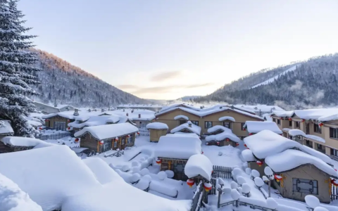 天眼查报告：每4家东北新公司，就有1家在做文旅生意