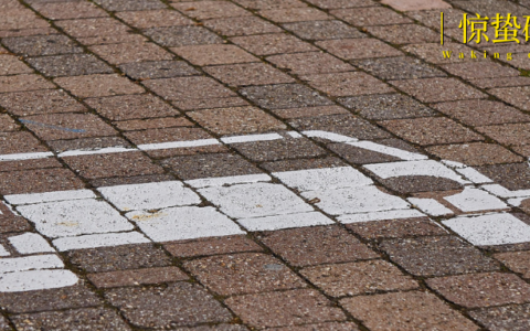 新能源汽车出海2.0：从“卖车”到“建生态”