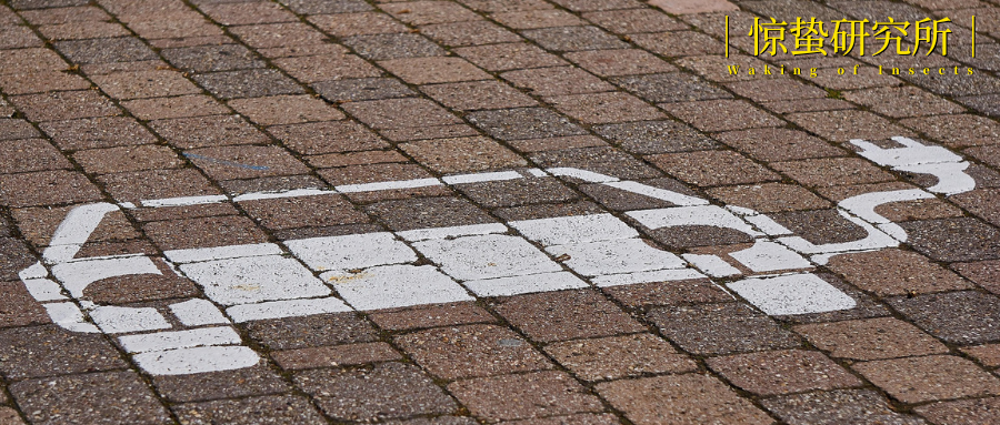 新能源汽车出海2.0：从“卖车”到“建生态”