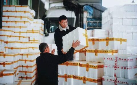 在马年春节里，看见中国小微企业的“万马奔腾”