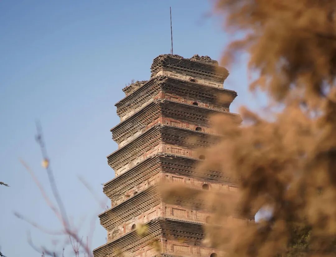 这届年轻人:不回家过年,是对自己的“犒赏”