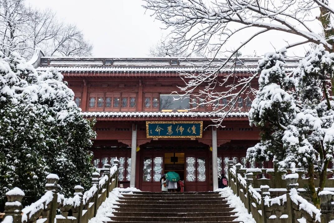 灵隐寺搞免票预约，被38万“鸽王”上了一课