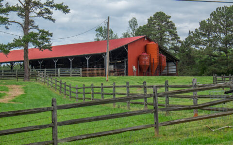 爷爷的农场OEM模式超九成：重营销轻研发，曾屡屡抽检不合格
