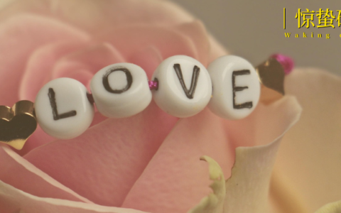 这届情人节，告别爱情KPI