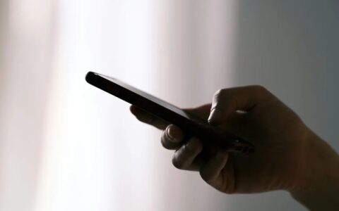 东边野兽携手PANE，发布新年联名礼盒