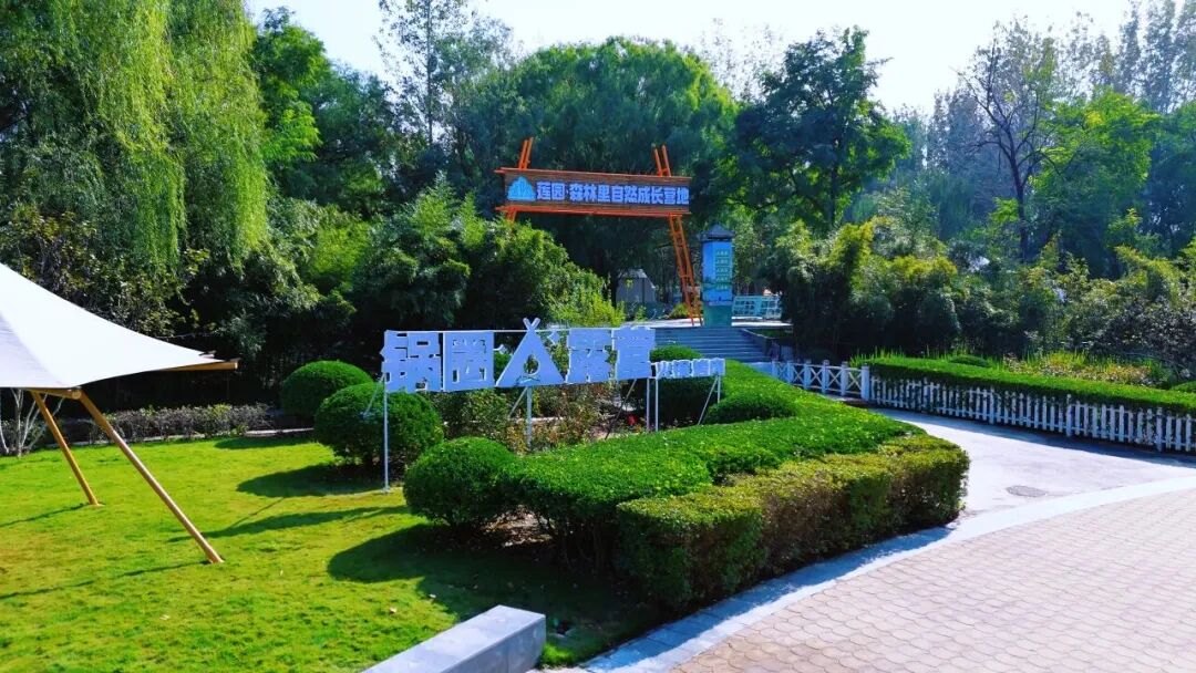 锅圈再调打法