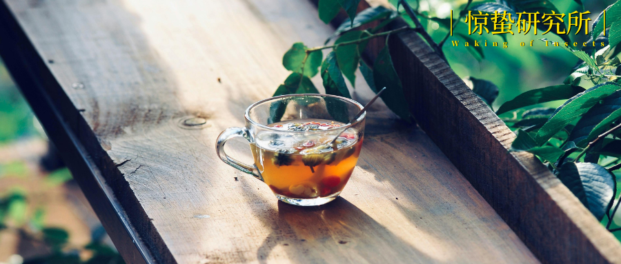 老外集体“精中”：文化回流背后的出海新逻辑