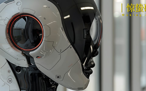 机器人「起飞」元年：热钱、故事与透支的未来