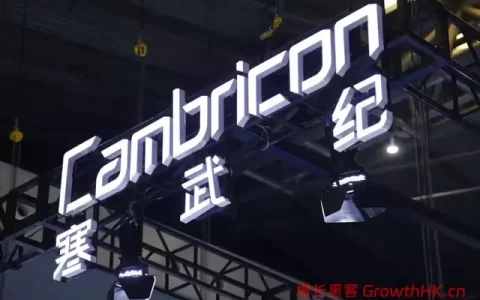 寒武纪第一次赚钱，但已被“中国版英伟达”包围