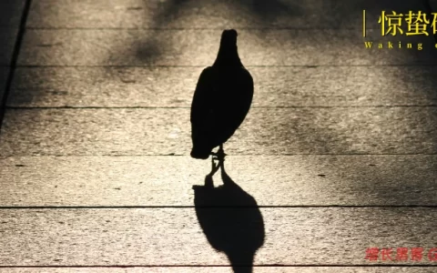 一线访谈 | 一千米，是我和导弹的距离