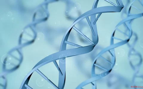 天辰生物持续亏损：现金流连年为负，商业化与经营隐忧并存