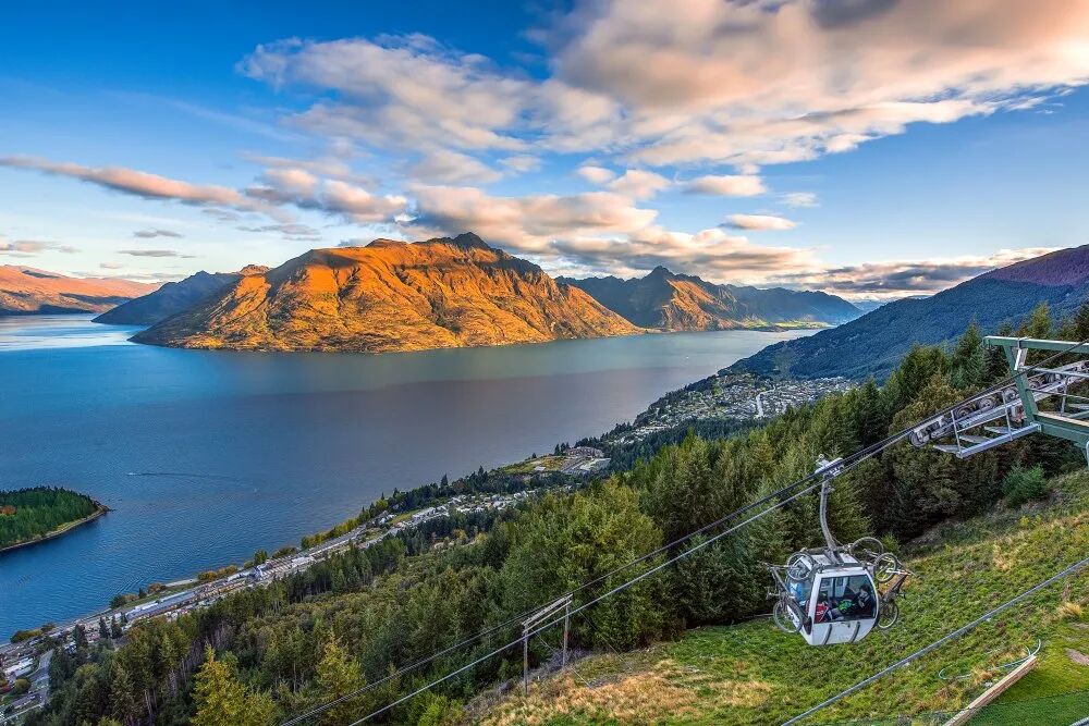 反季旅行热背后：新西兰如何用“银发逻辑”重构中国市场